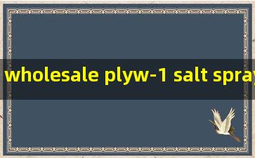 wholesale plyw-1 salt spray corrosion tester